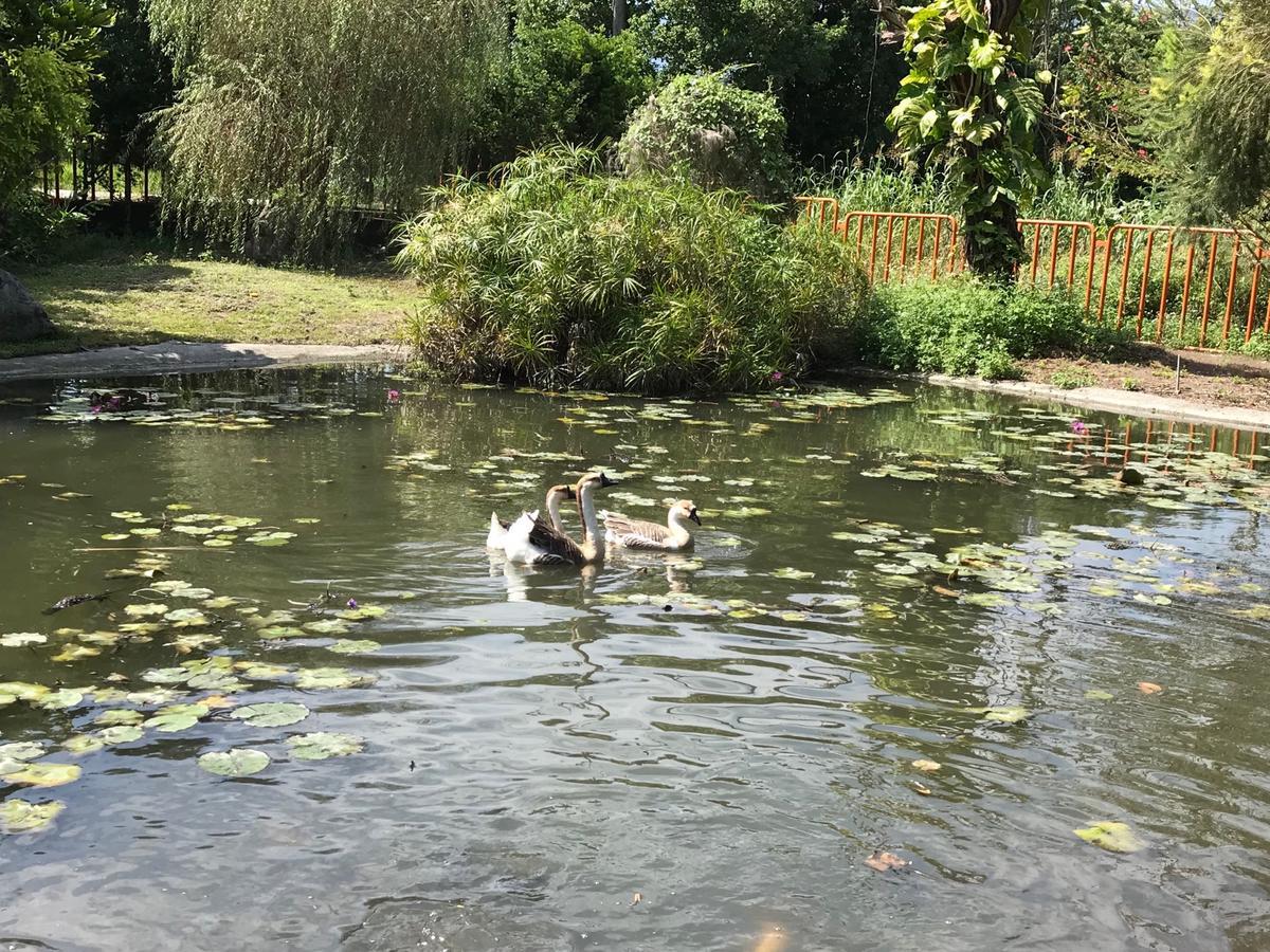 Shan Shuimei B&B Fengping 외부 사진
